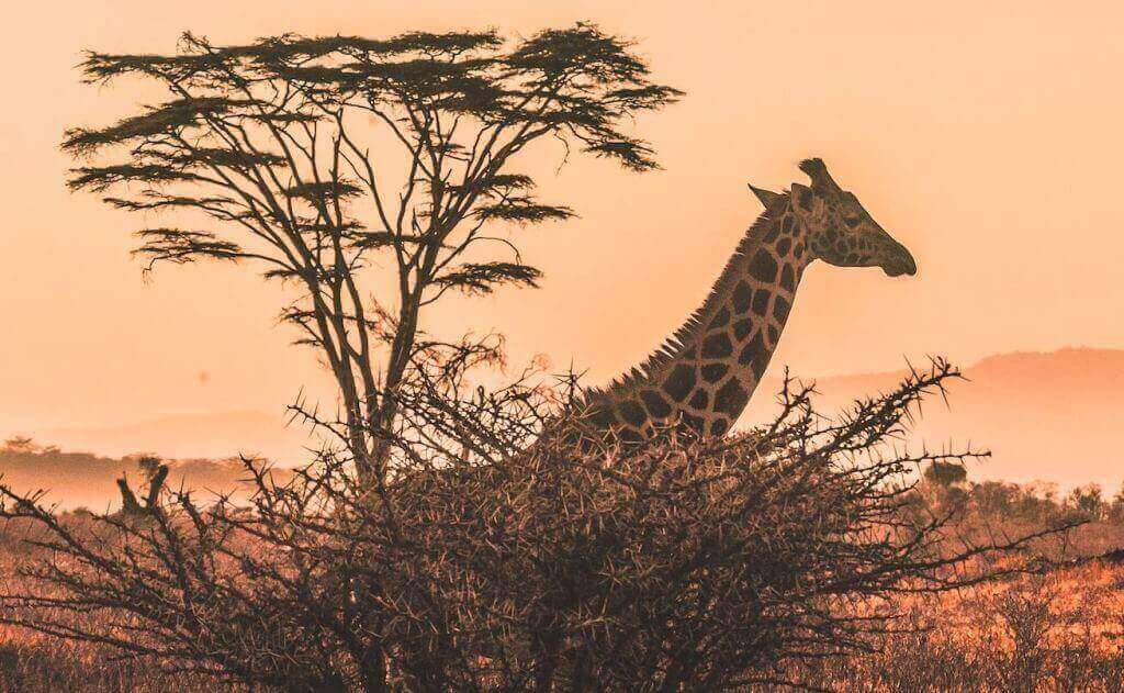 Best African Countries to Visit