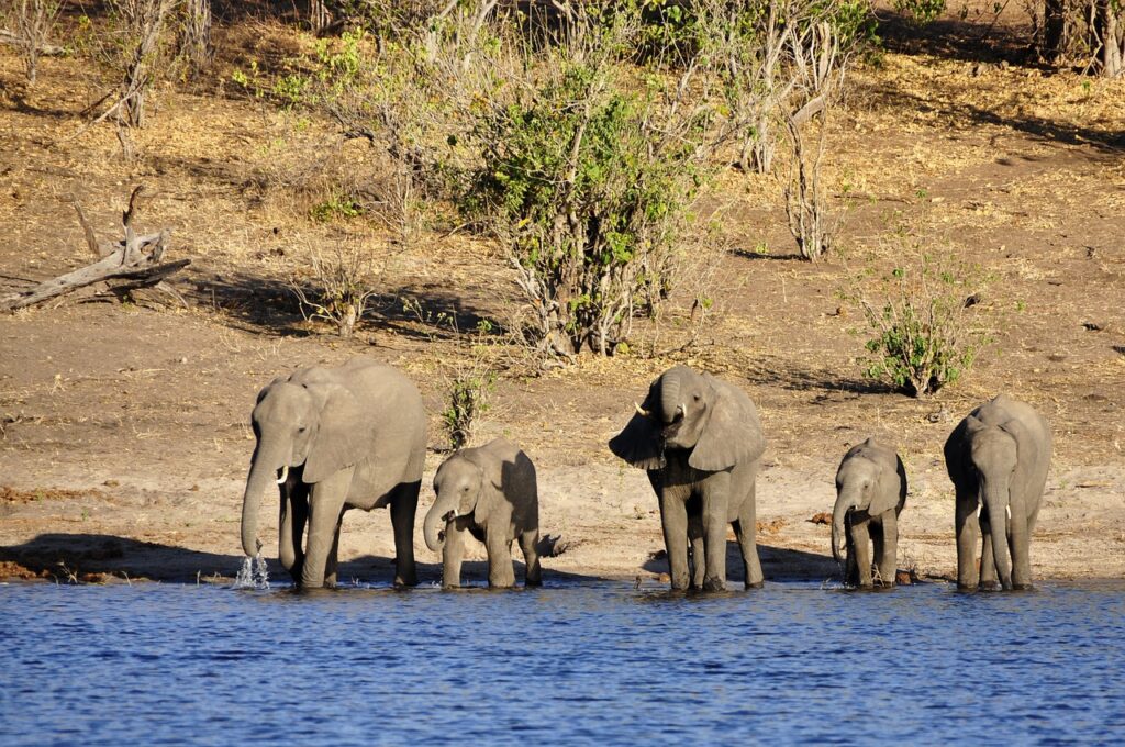 Botswana Best African Countries to Visit